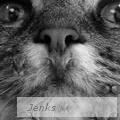 DeniseJenks