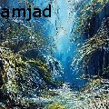 asim-amjad